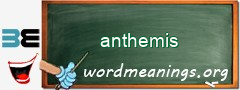 WordMeaning blackboard for anthemis